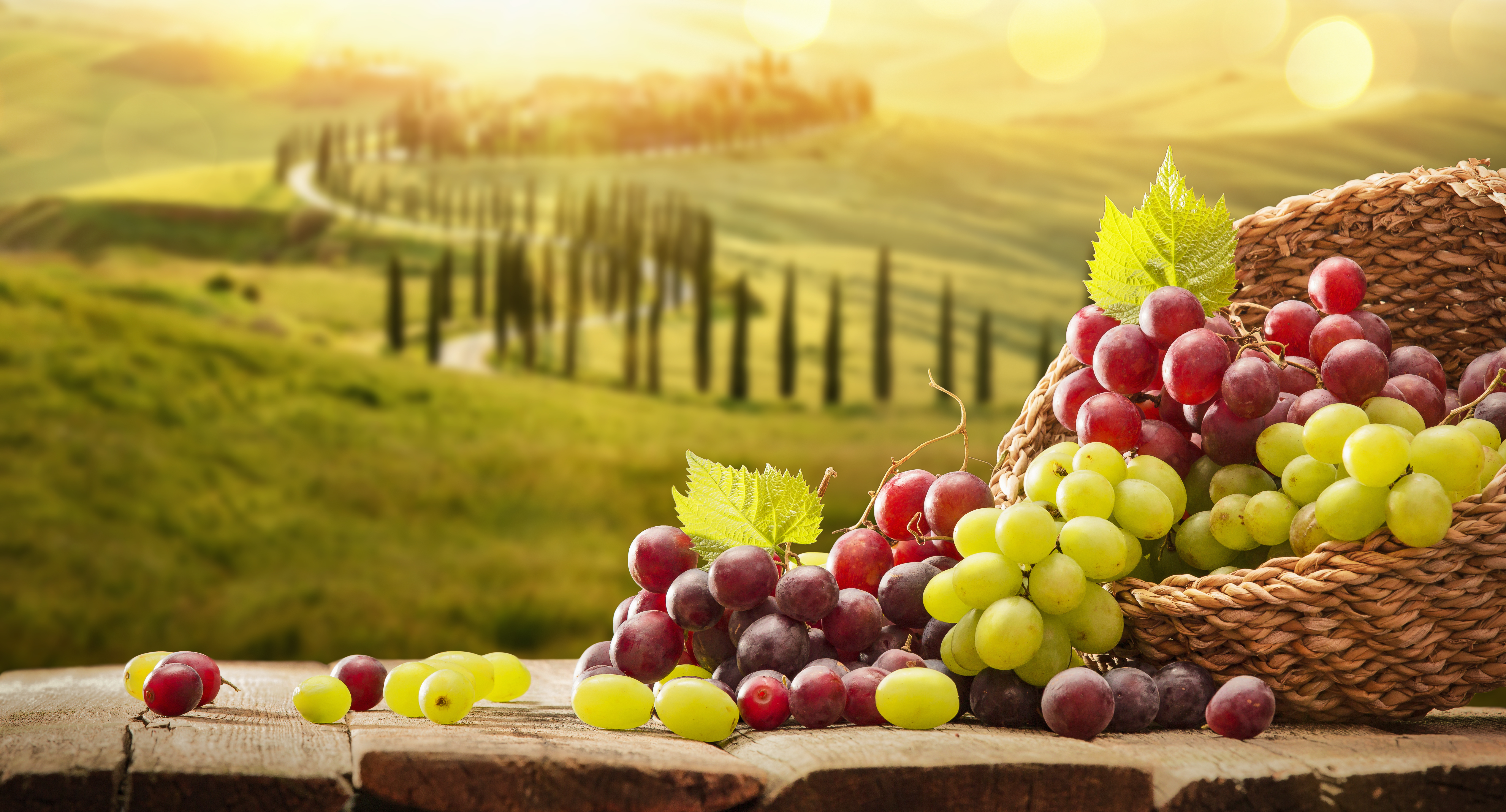 Grapes,In,A,Basket,On,A,Wooden,Background ,Harvesting