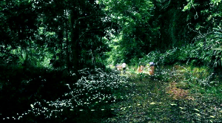 防疫期間去哪玩|防疫景點