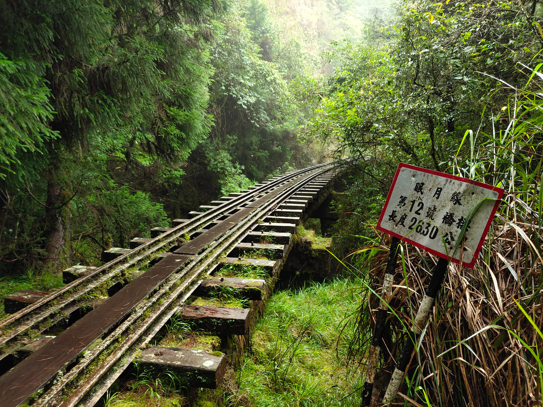 國旅解封！推薦8處台灣山林秘境 深入古道、露營來一趟OK旅遊