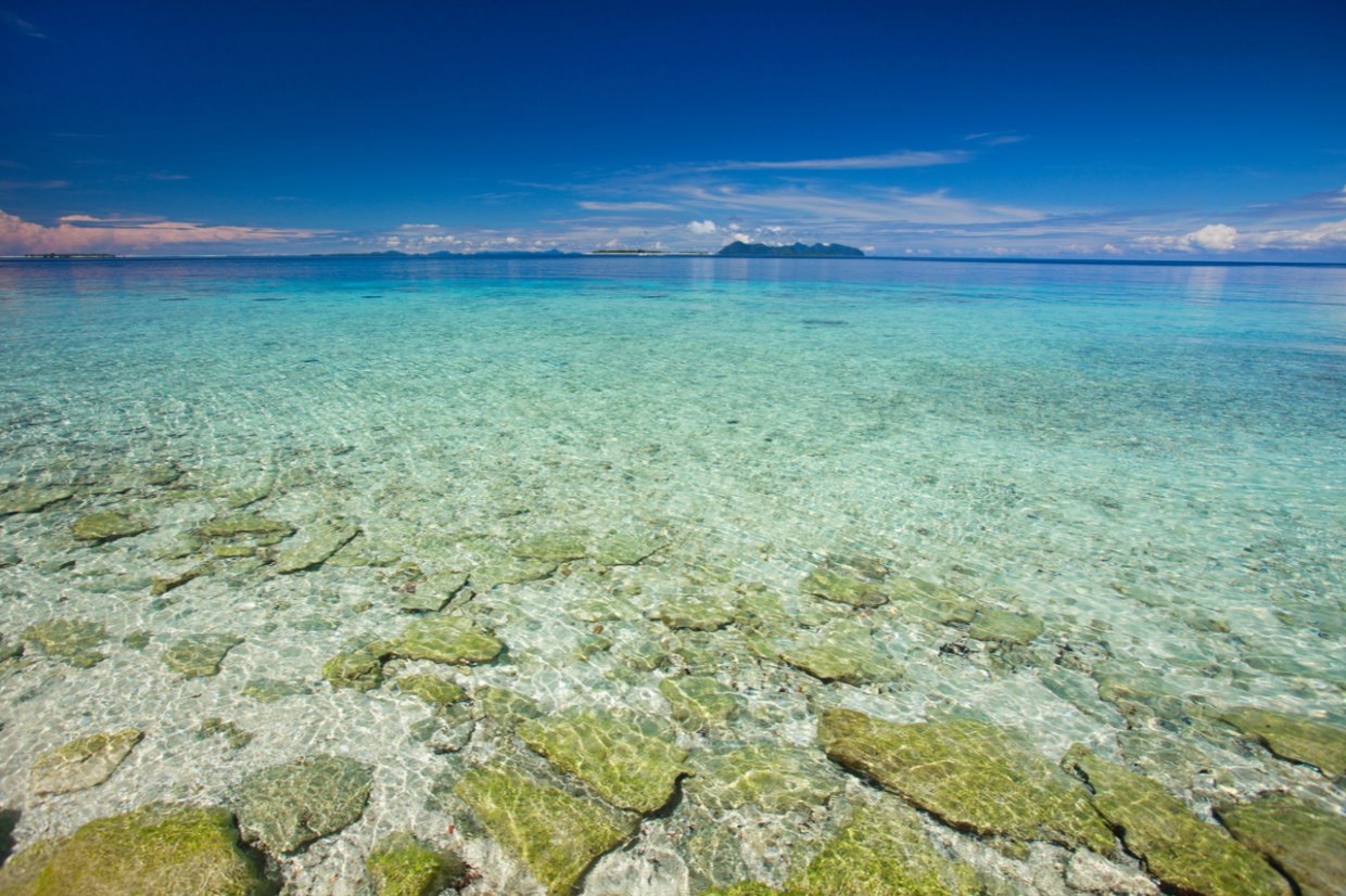 在世界級潛水聖地、沙巴最美島嶼－仙本那 享受天堂之境的碧海藍天