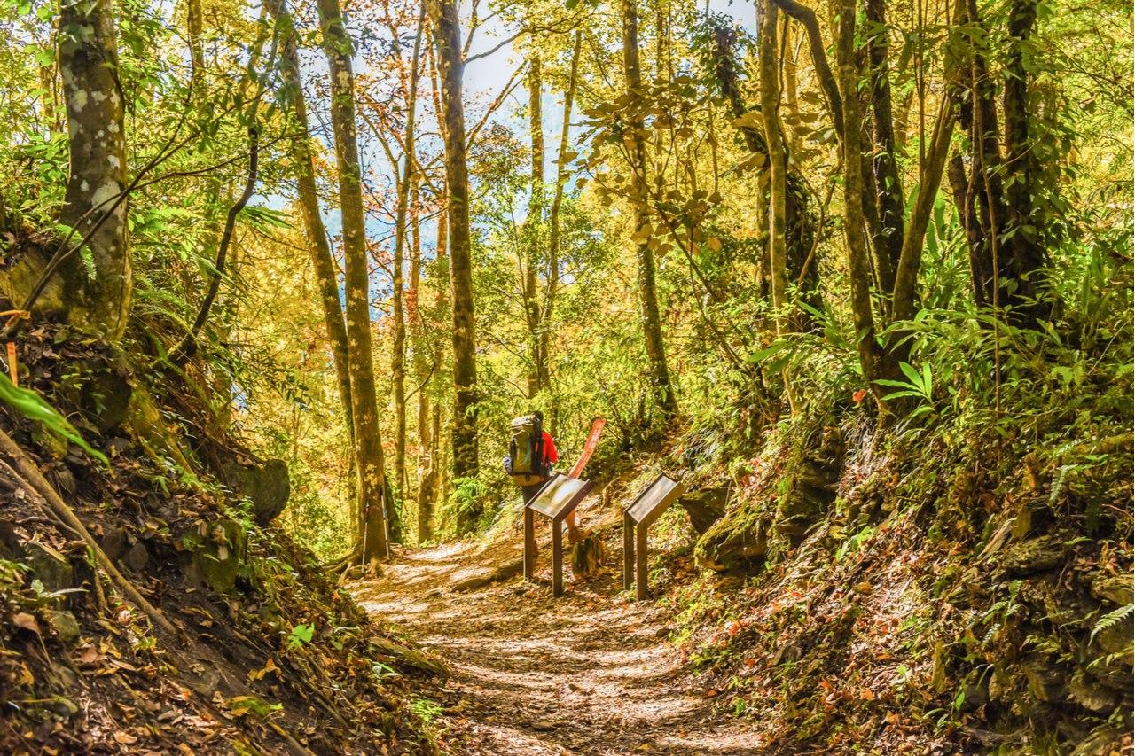 【疫情封境】山林行程蔚為風潮 奧丁丁體驗推薦秋季山林路線TOP5