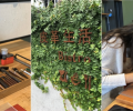 彰化二日遊懶人包！跟著職人腳步慢遊「路思大新創園區」，體驗手作皮件與在地小吃輕旅行