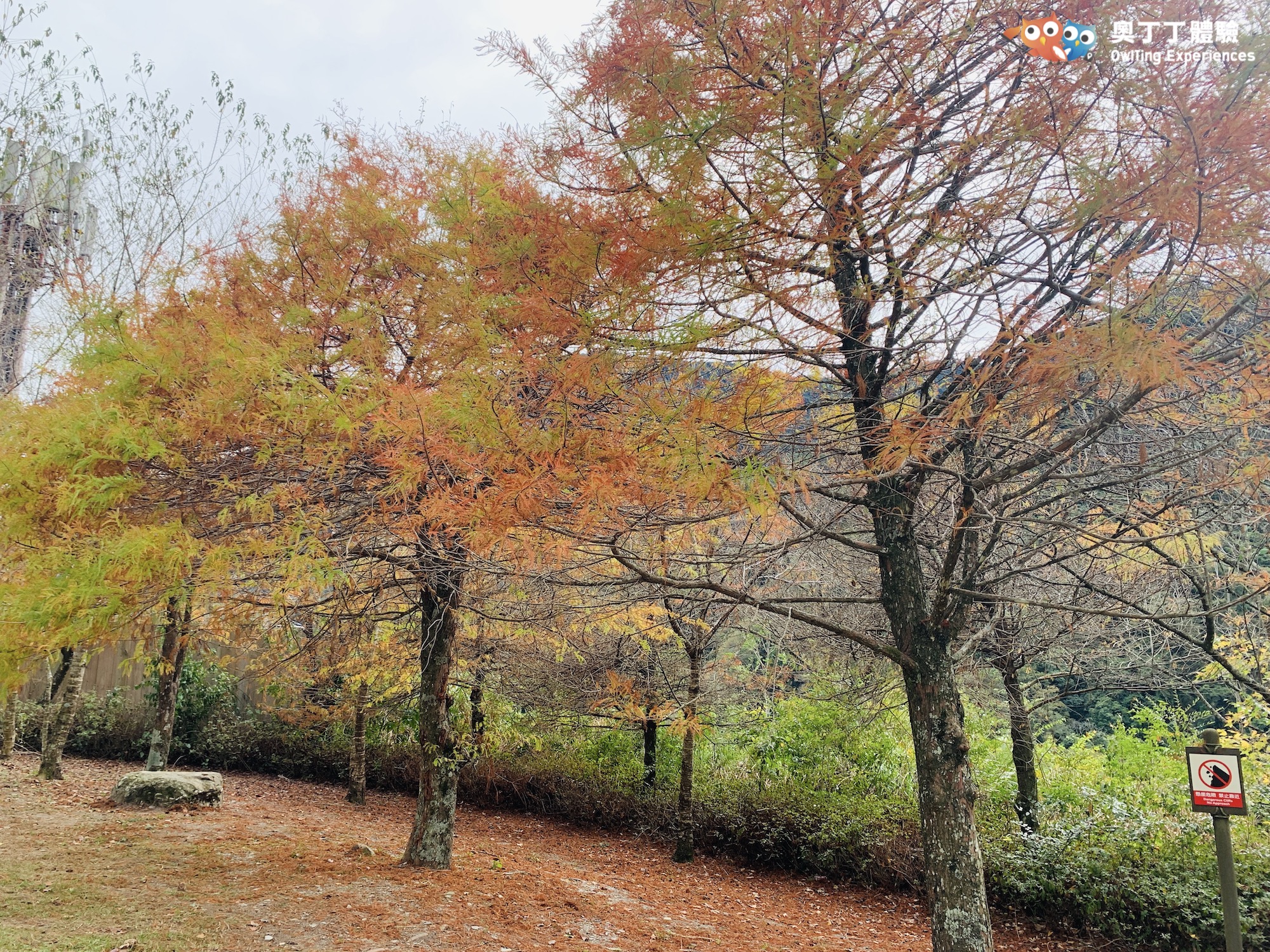 好想去日本!台版「日式風格旅行」讓你一秒彷彿置身在日本