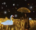 好可愛鴨！新北期間限定鴨鴨公園地景豐富，還有有趣趕鴨體驗