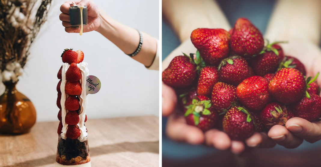 草莓控失心瘋｜全台必收四季採果體驗報乎你知 草莓甜點也不能錯過！