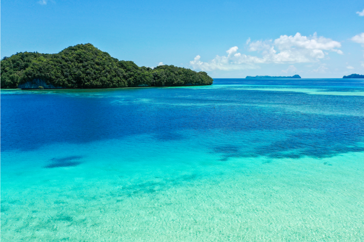 帛琉懶人包｜探訪南太平洋潛水天堂 行前準備＆必遊景點就看這一篇