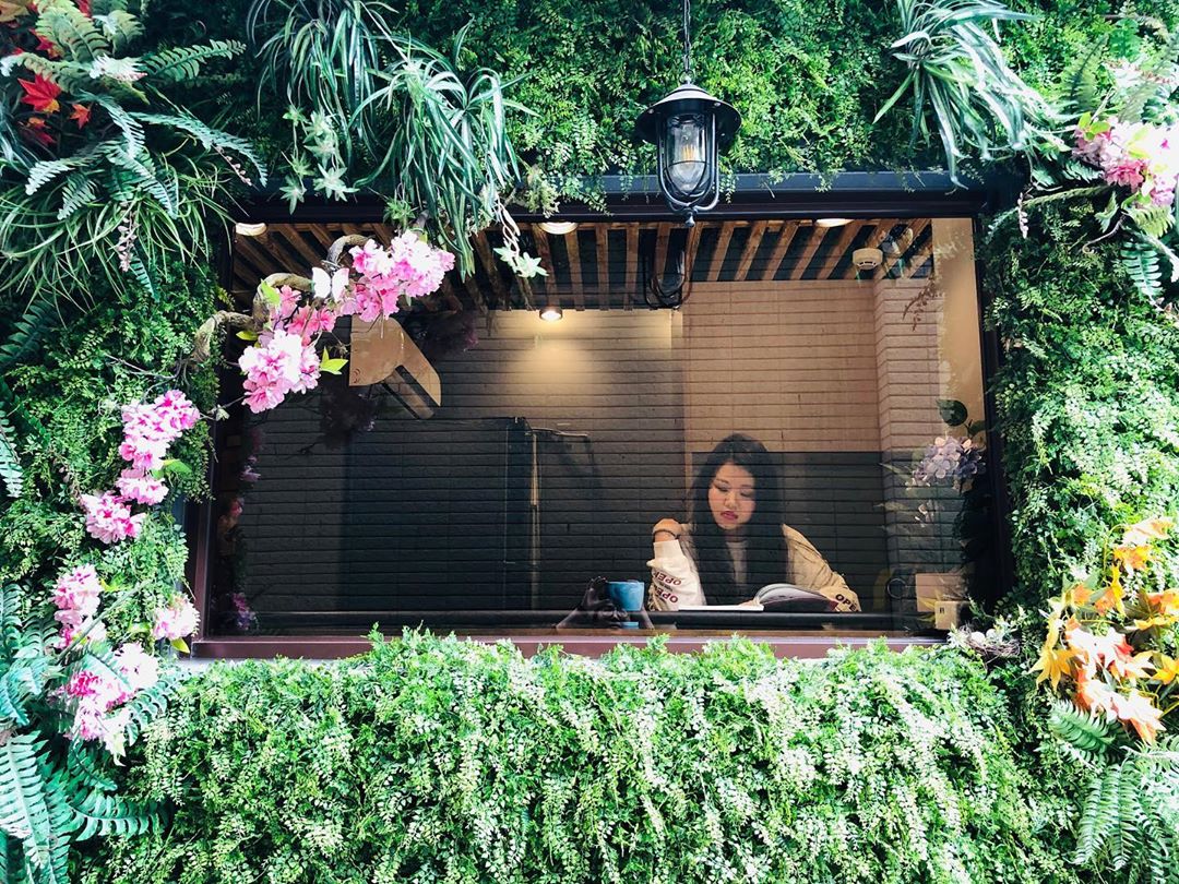 鉑鈳 @lin Weiwei Ting(1)