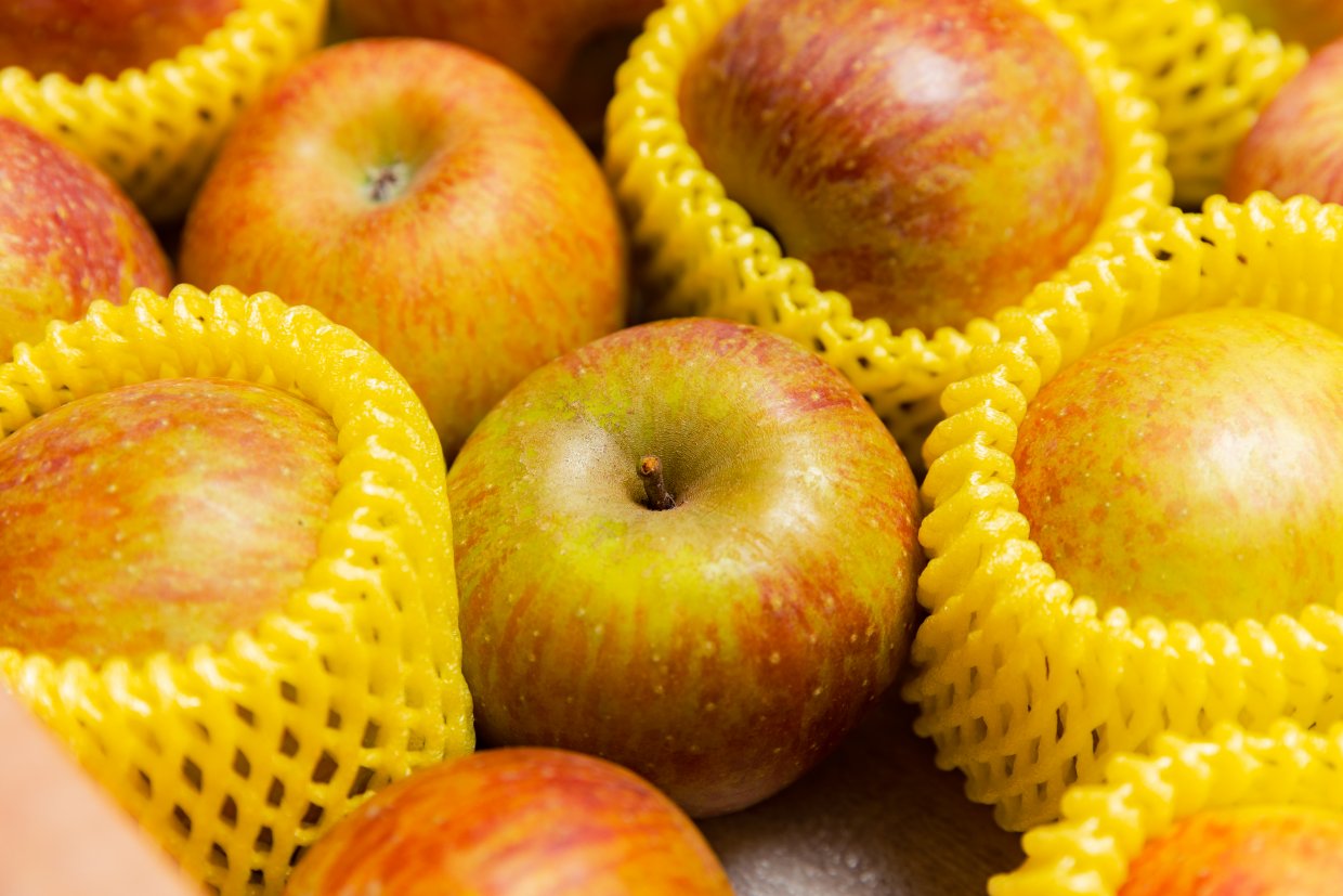 蘋果外皮紅黃相間、底部果臍大，就是甜度的保證！