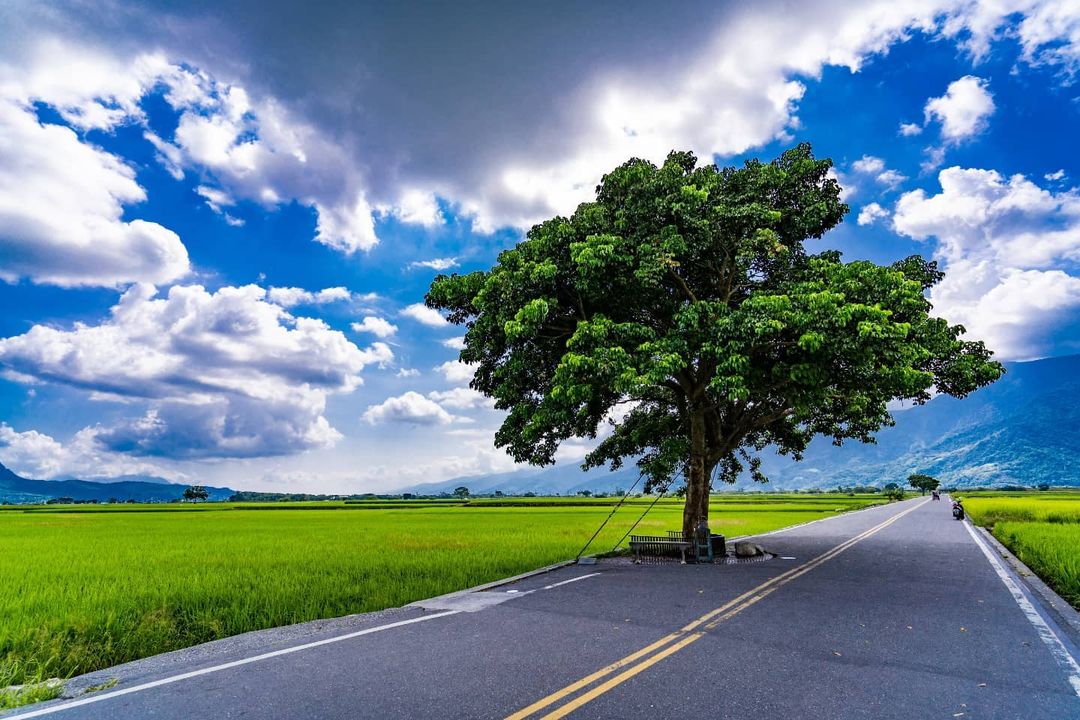 Paul1001 1001 金城武樹3