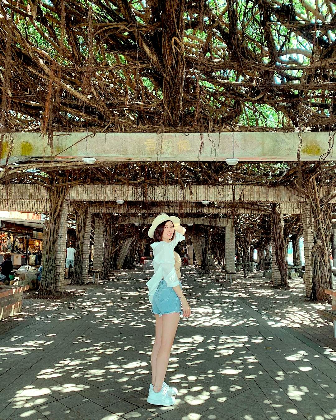  Abby1217 通樑古榕