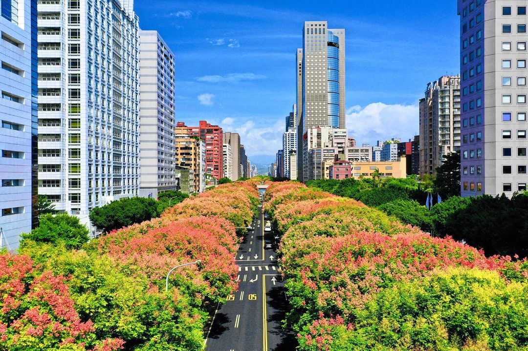 Wcy6572 敦化南路