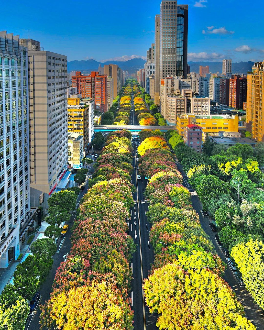 Force0802 敦化南路