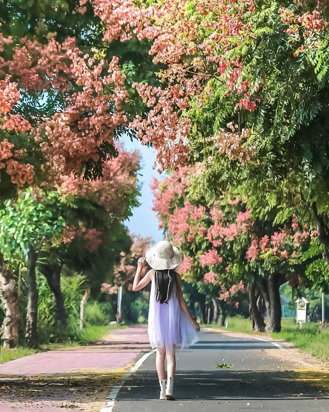 Aday0530 東螺溪林道