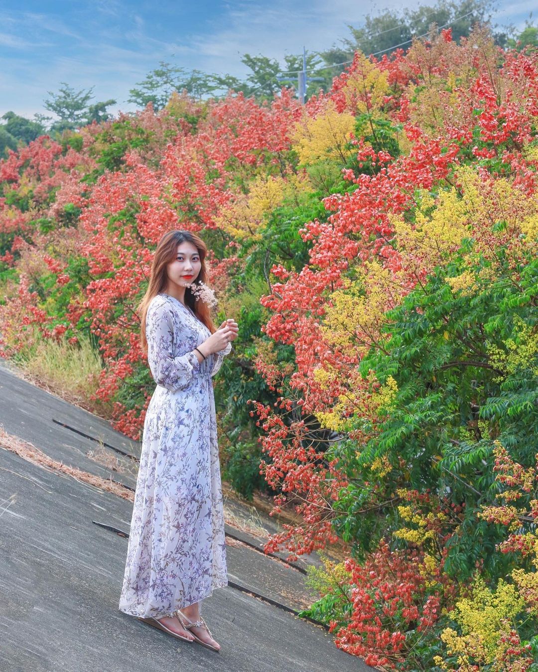 Xia N55iw 朴子大橋