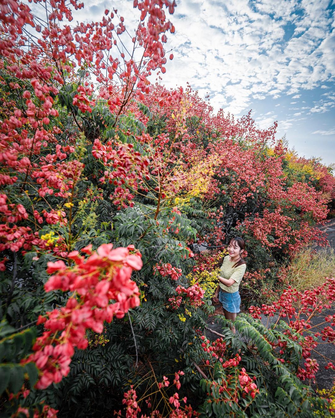 Wusheng Photo 245071060 朴子大橋