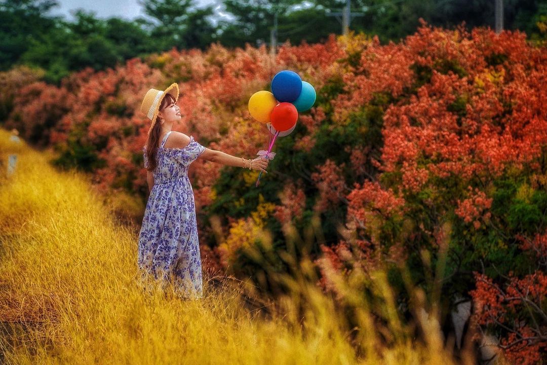 Qqsweet1982 朴子大橋