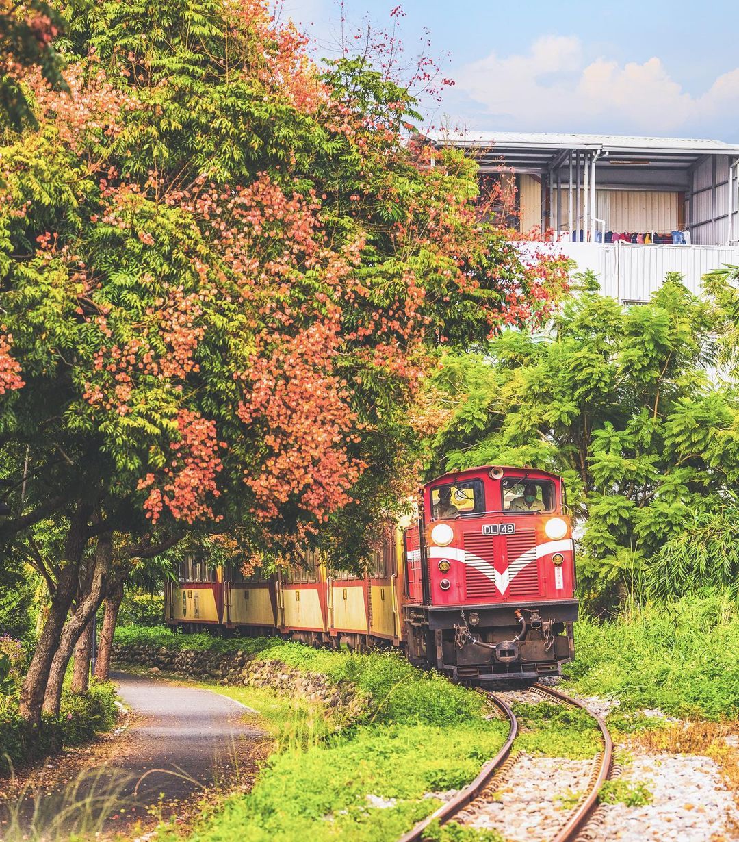 Raymond Lan 滿竹自行車道