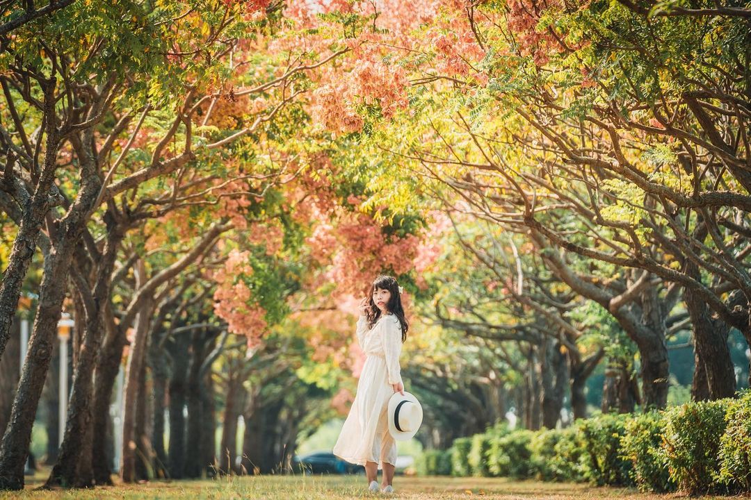 Plant Hui 嘉義高鐵