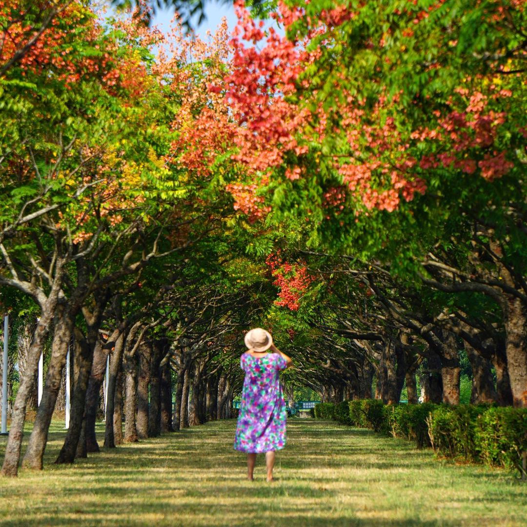 Peaceful1225 嘉義高鐵