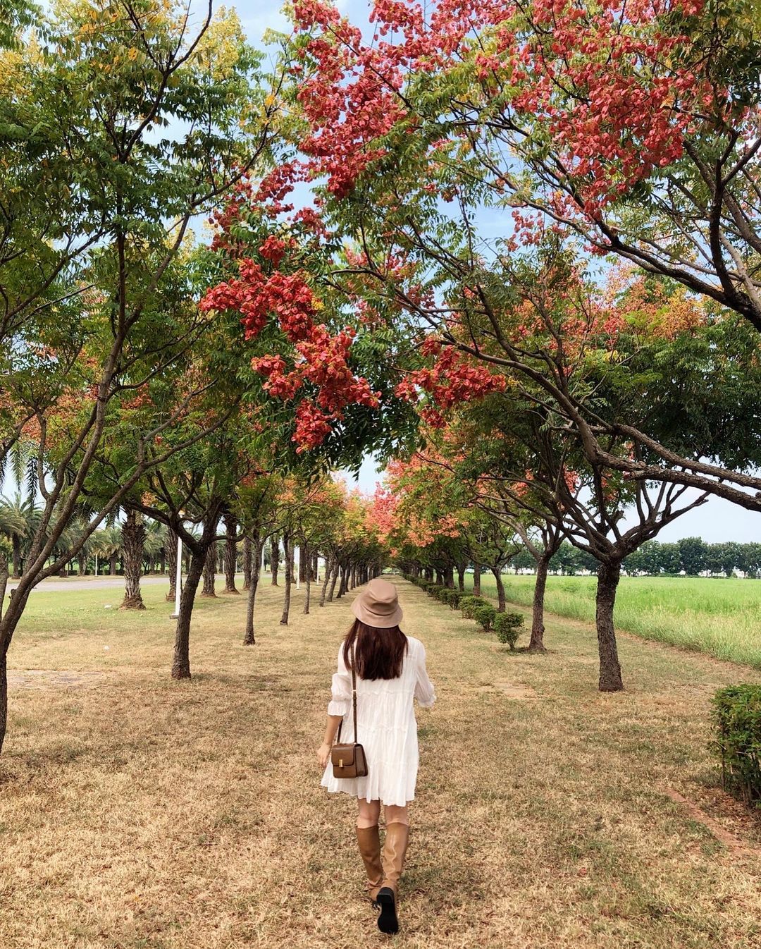 Weng Tzuyun 嘉義高鐵