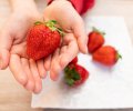 Child,Holds,Fresh,Strawberries,In,Hand