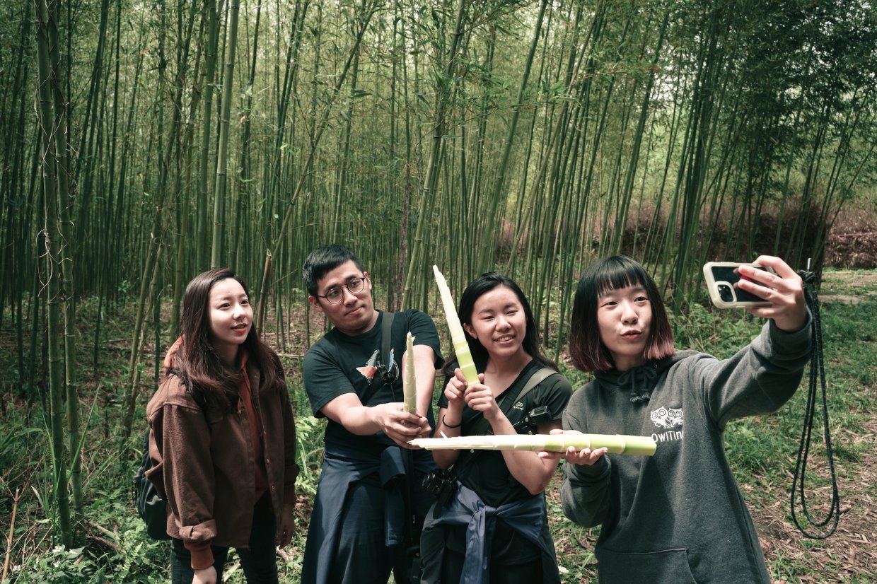 有泰雅的地方就有桂竹｜走一趟桃園復興卡普部落，尋一趟竹之旅