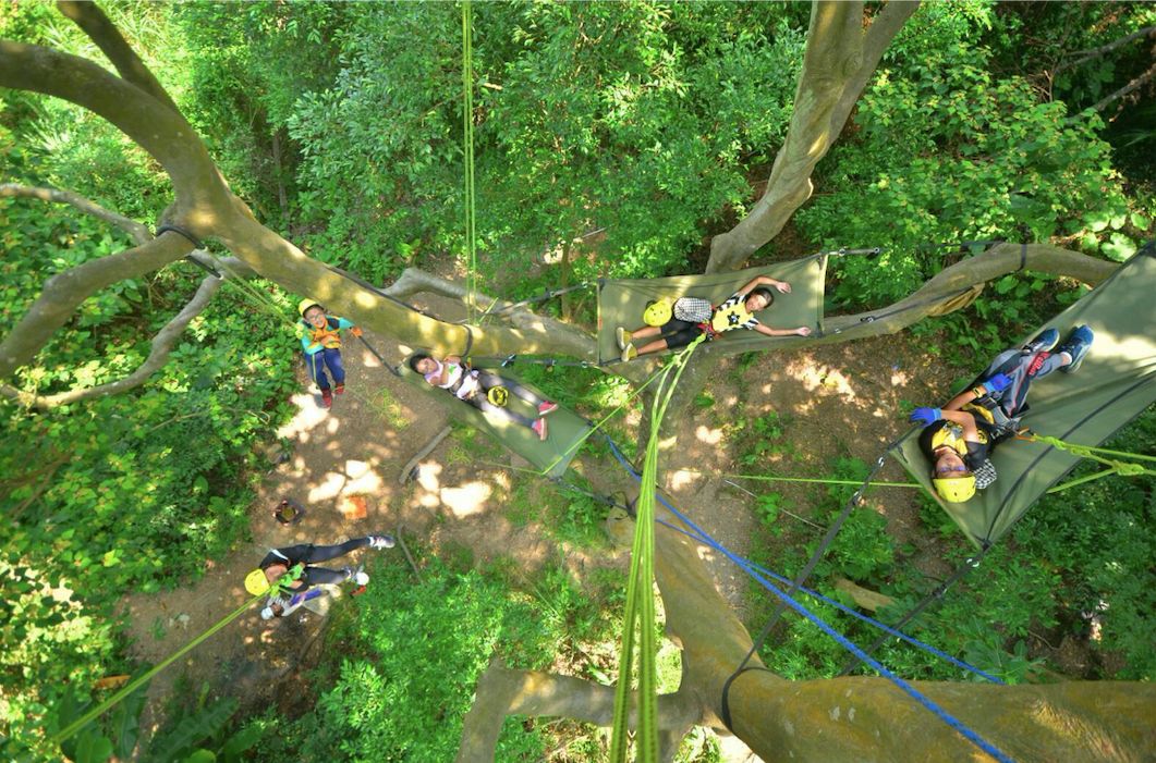 攀樹體驗3