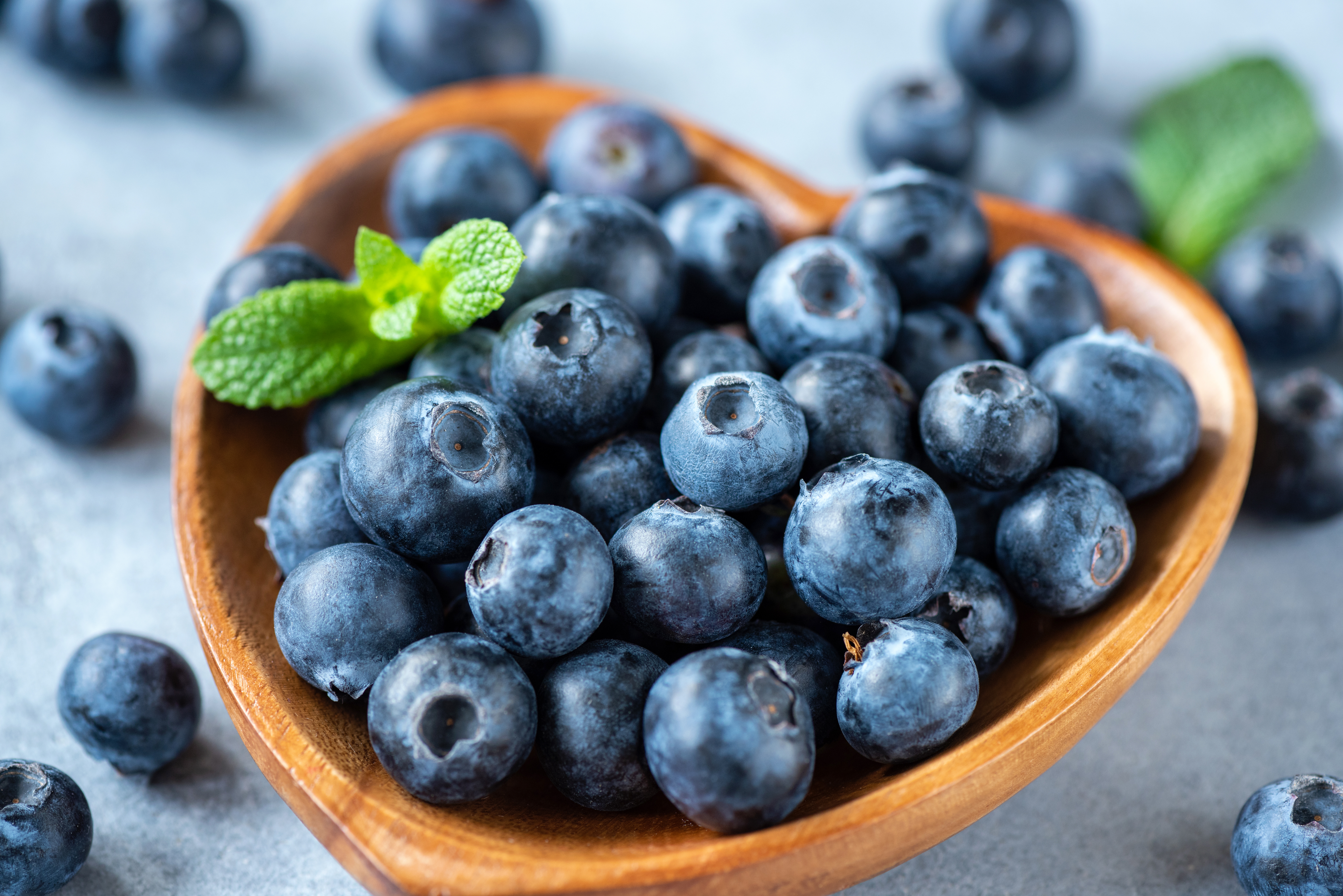 Fresh,Organic,Blueberries,In,A,Bowl,Closeup,View