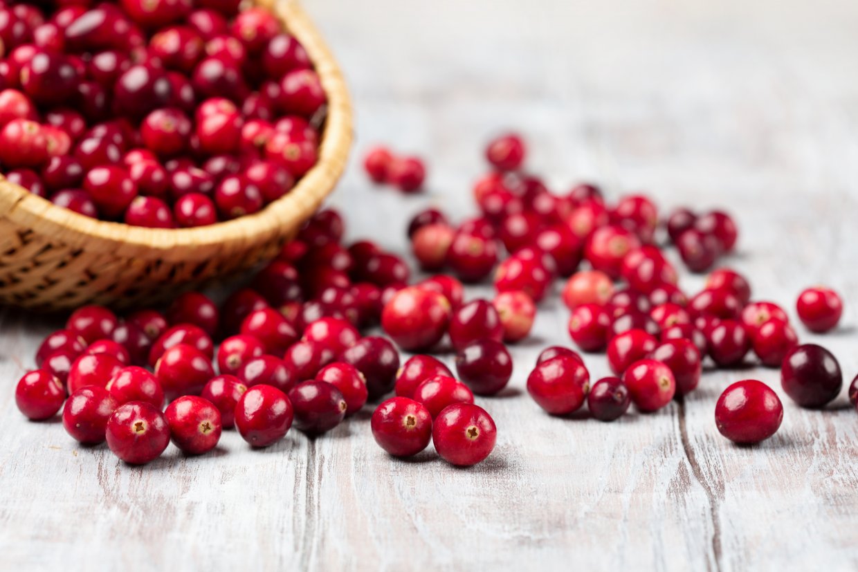 蔓越莓的營養也很豐富，特別是能維持泌尿系統健康，因此又有『北美紅寶石』的稱號