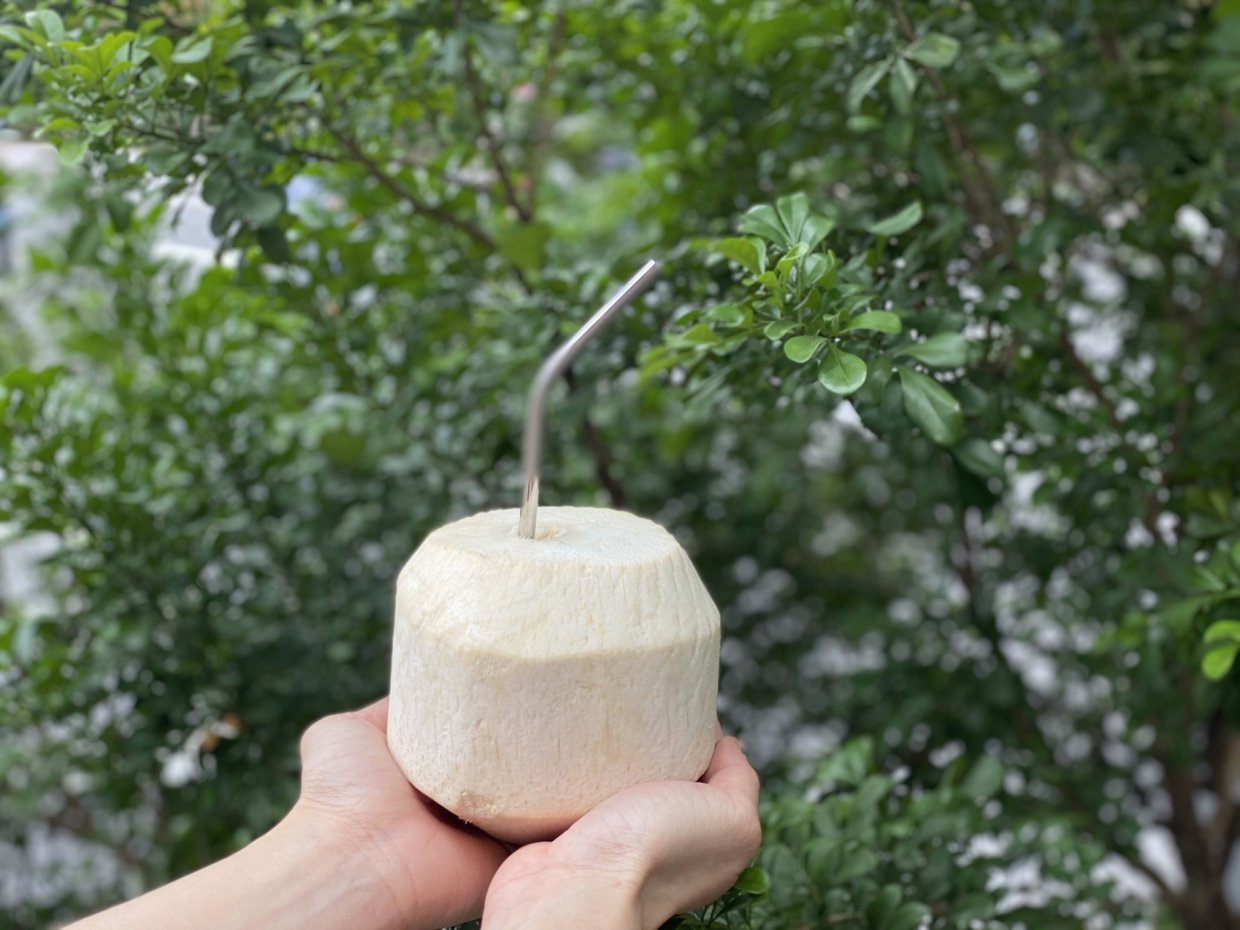 香水椰子分成兩種處理方式，將綠色外殼去除，切成像蒙古包的形狀，就是『椰青』喔