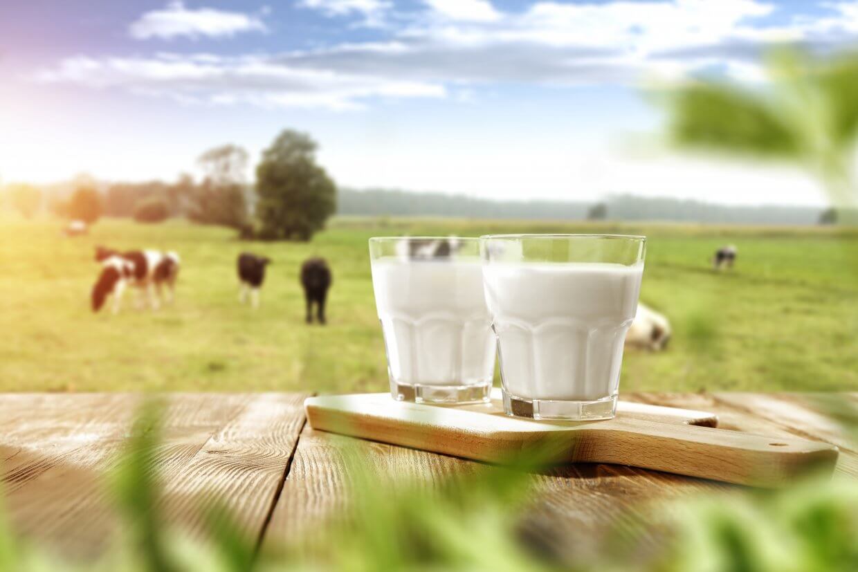 Fresh,Milk,And,Spring,Time