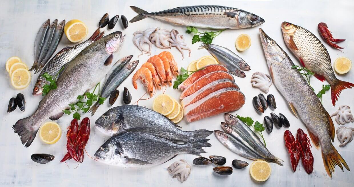 Fresh,Fish,And,Seafood ,Healthy,Eating,Concept ,Top,View