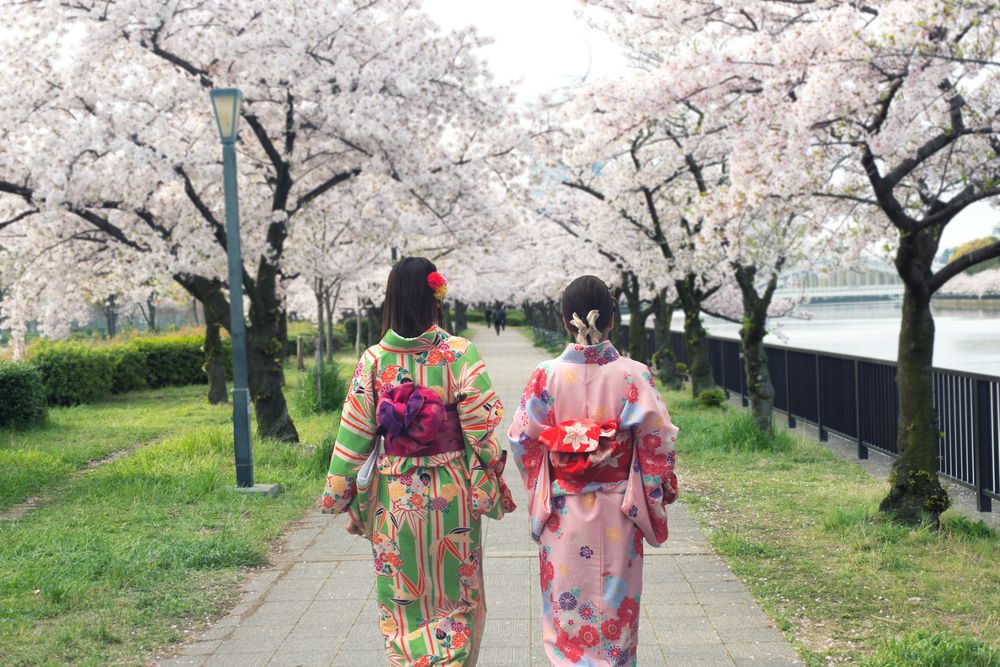 Couple,Asian,Women,Wearing,Traditional,Japanese,Kimono,In,Sakura,Garden