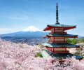 Chureito,Pagode,And,Mount,Fuji,With,Cherry,Blossom,Tree,During
