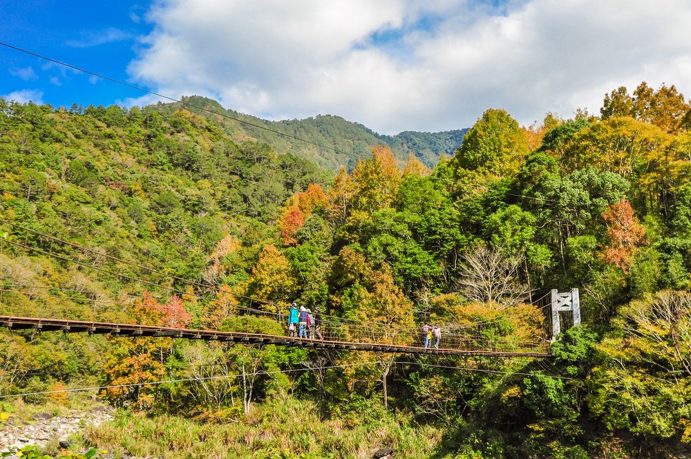 Colorful,Autumn,Trees,On,Xiakelo(or,Shihlu),Historic,Trail,,Hsinchu,,Taiwan