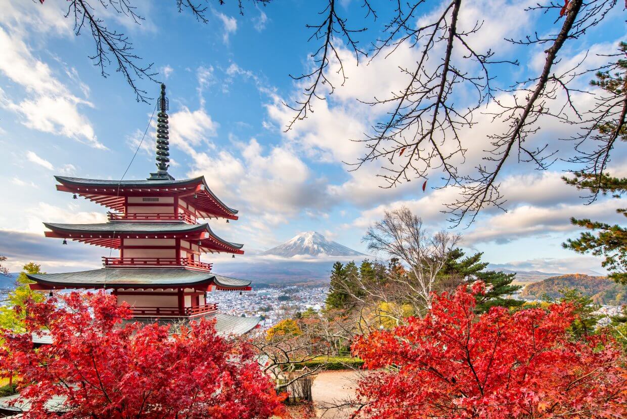 新倉山淺間公園（圖／Shutterstock）