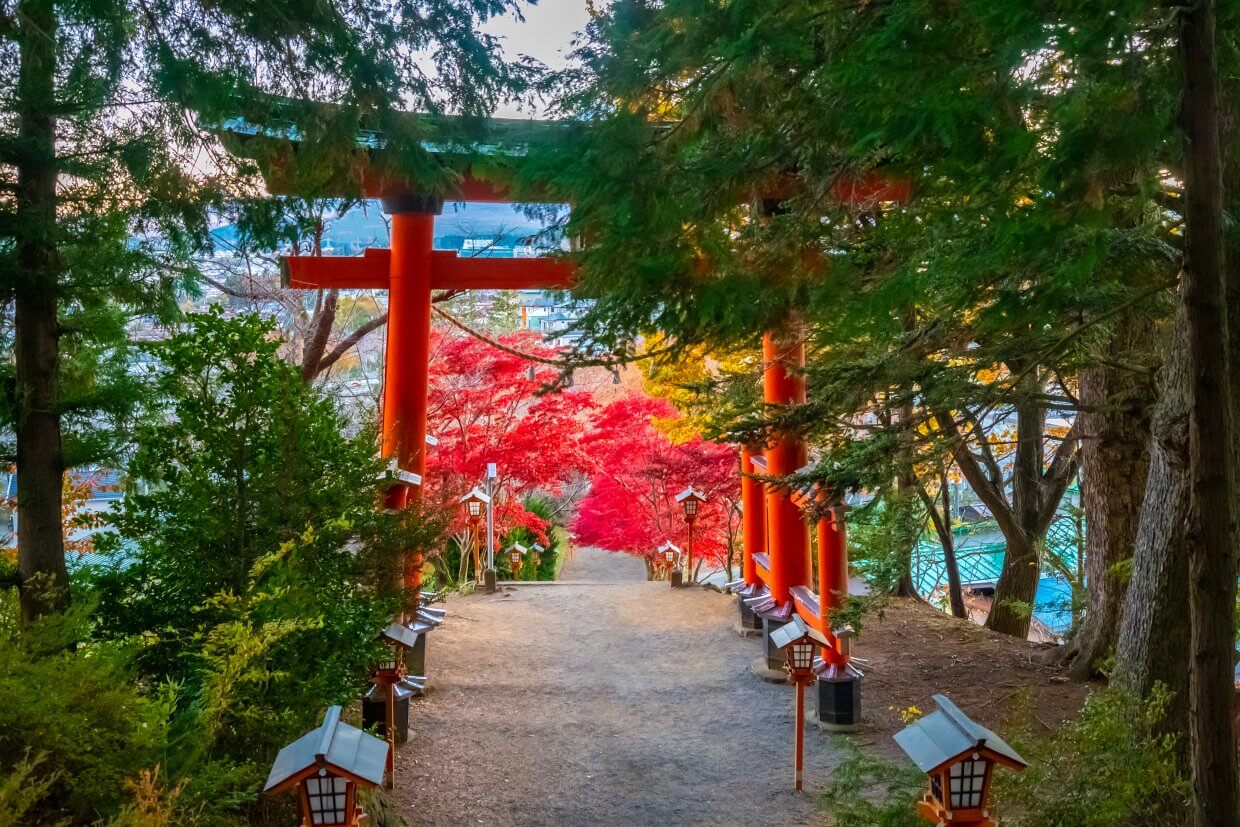 新倉山淺間公園（圖／Shutterstock）